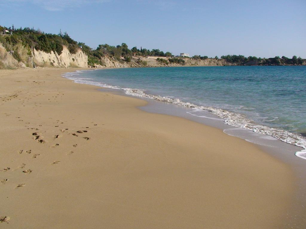 Lindia Thalassa Πεύκος Εξωτερικό φωτογραφία