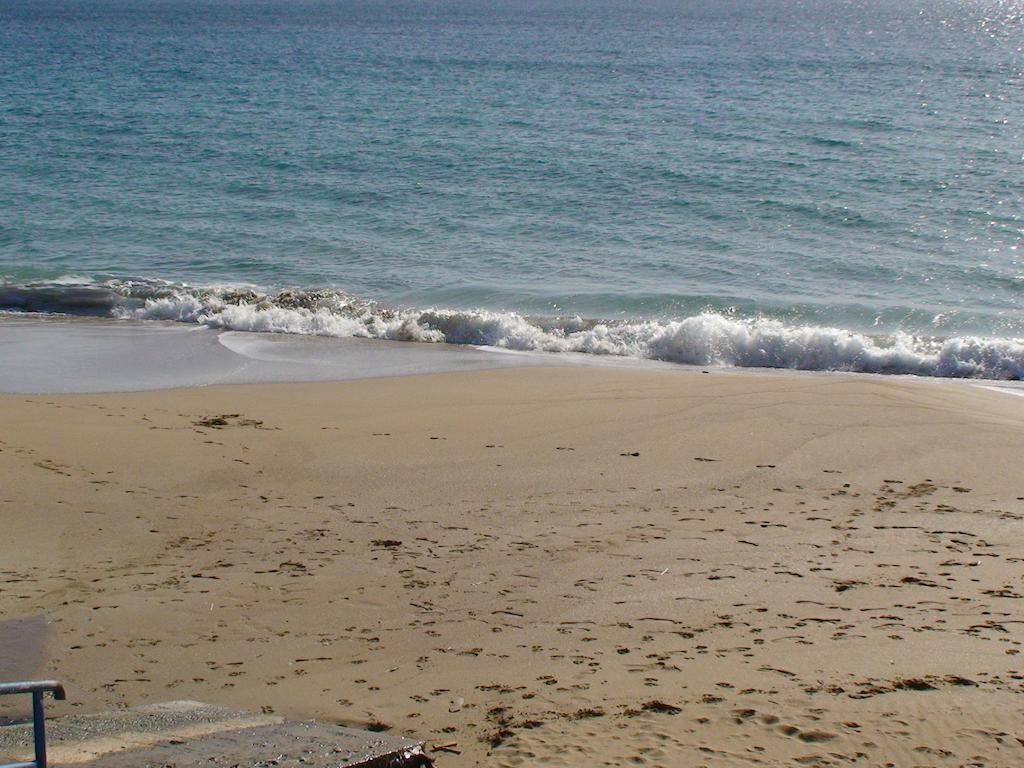 Lindia Thalassa Πεύκος Εξωτερικό φωτογραφία